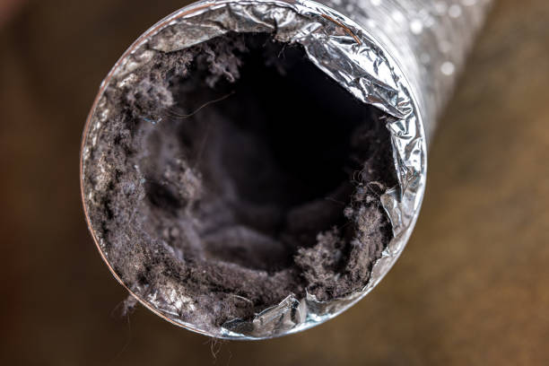 Best Commercial Air Duct Cleaning in Lakeside, CA